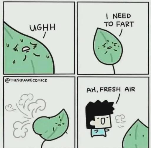 A four panel comic. 
                                                        Ugh, I need to fart, a green plant says. 
                                                        *plant farts*
                                                        Ah, fresh air, says a little human after inhaling plants fart.