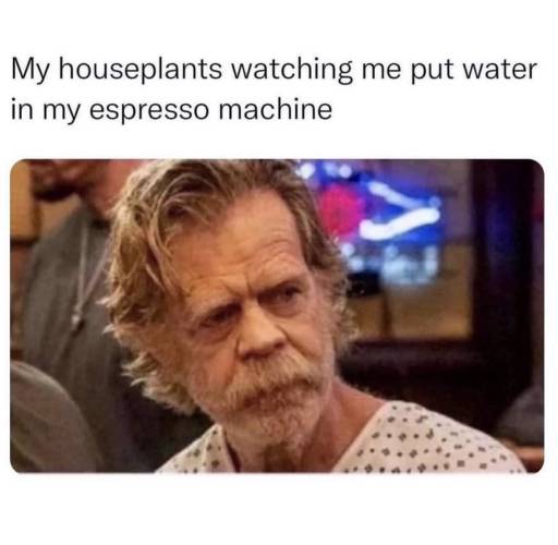 Text: My houseplants watching me put water in my espresso machine. 
                                                        
                                                        Image: Frank from the TV show Shameless looking tired.