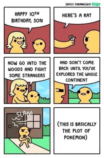 A six panel comic strip.
                                            P1: Happy tenth birthday, son. - mom gratulates her son.
                                            P2: Here's a rat.
                                            P3: Now go into the woods and fight some strangers. 
                                            P4: And don't come back until you've explored the whole continent.
                                            P5: Son leaves the house to begin his new adventure.
                                            P6: This is basically the plot of Pokemon.