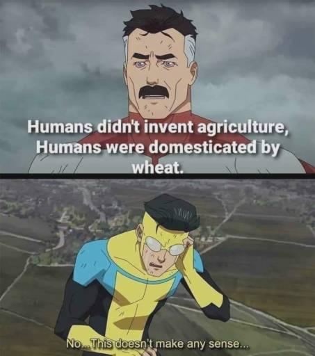 A two panel Invincible TV show meme. 
                                            Omni-man: Humans didn't invent agriculture, humans were domesticated by wheat. 
                                            Invincible: No... This doesn't make any sense...