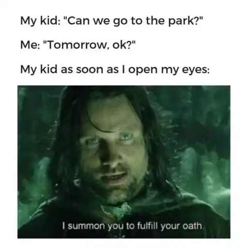 A Lord of the Rings meme 
                                                        Text: 
                                                        My kid: Can we go to the park?
                                                        Me: Tomorrow, ok?
                                                        My kid as soon as I open my eyes:
                                                        Image: Aragorn says: I summon you to fulfill your oath.