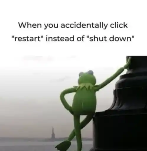 Kermit the Frog looking at the sky, waiting.
                                                        Text: When you accidentally click restart instead of shut down.