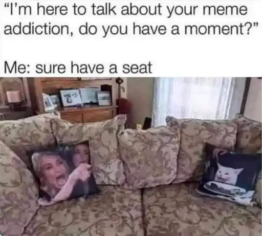 Text: I'm here to talk about your meme addiction, do you have a moment?
                                                        Me: sure have a seat
                                                        Image: a couch with pillows with the woman shouting at a cat meme