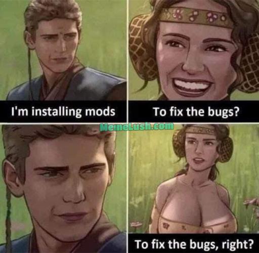 Anakin and Padme 4 panel meme.
                                                        Anakin: I'm installing mods.
                                                        Padme: To fix bugs?
                                                        *zoomed in on Anakins face*
                                                        Padme with big boobs: To fix bugs, right?