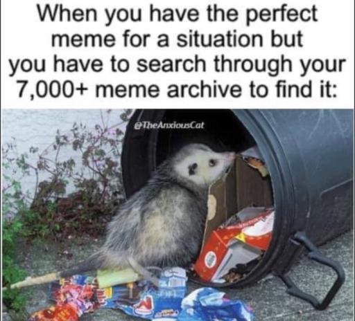 Text: When you have the perfect meme for a situation but you have to search through your 7000+ meme archive to find it: 
                                            Image: An Opossum in a trash bin.