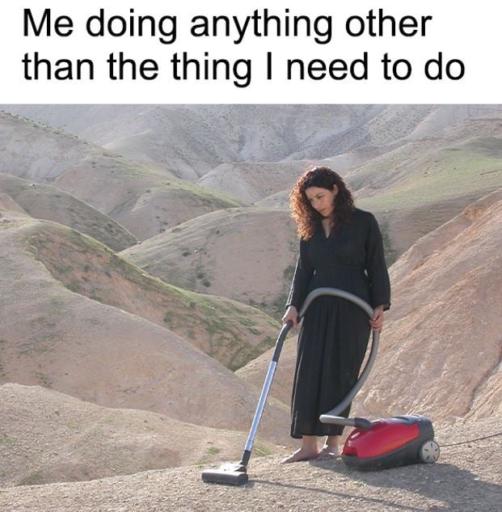 Text: Me doing anything other than the thing I need to do
                                                        Image: A woman vacuuming the ground in the mountains.