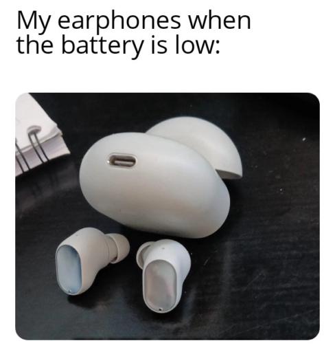 A meme featuring earphones and case with an inviting pose.