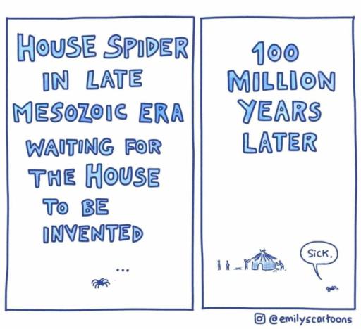 A two two panel comic strip. 
                                            Panel 1: house spider in late mesozoic era waiting for the house to be invented. Spider: "..."
                                            
                                            Panel 2: 100 million years later. 
                                            A hut with people outside. Spider: "sick."