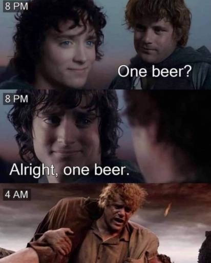 A three panel meme featuring Frodo and Sam from Lord of the Rings. 
                                                        
                                                        One beer? - Sam asks at 8 PM
                                                        Alright, one beer. - Frodo answers.
                                                        At 4 AM is Sam carrying Frodo on his back.