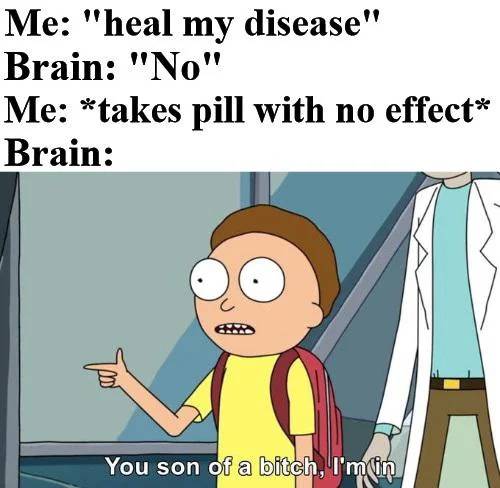 A Rick and Morty meme.
                                            Me: heal my disease
                                            Brain: No
                                            Me: *takes pill with no effect*
                                            Brain: A picture of Morty saying: You son of a bitch, I'm in!