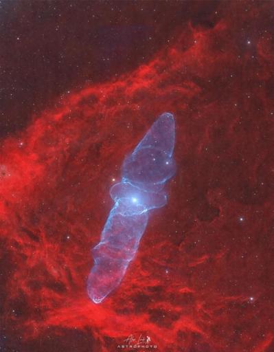 A starfield has a red nebula covering much of the frame but in the center, extending nearly vertically, is a blue nebula that appears shaped, to some, like a squid.